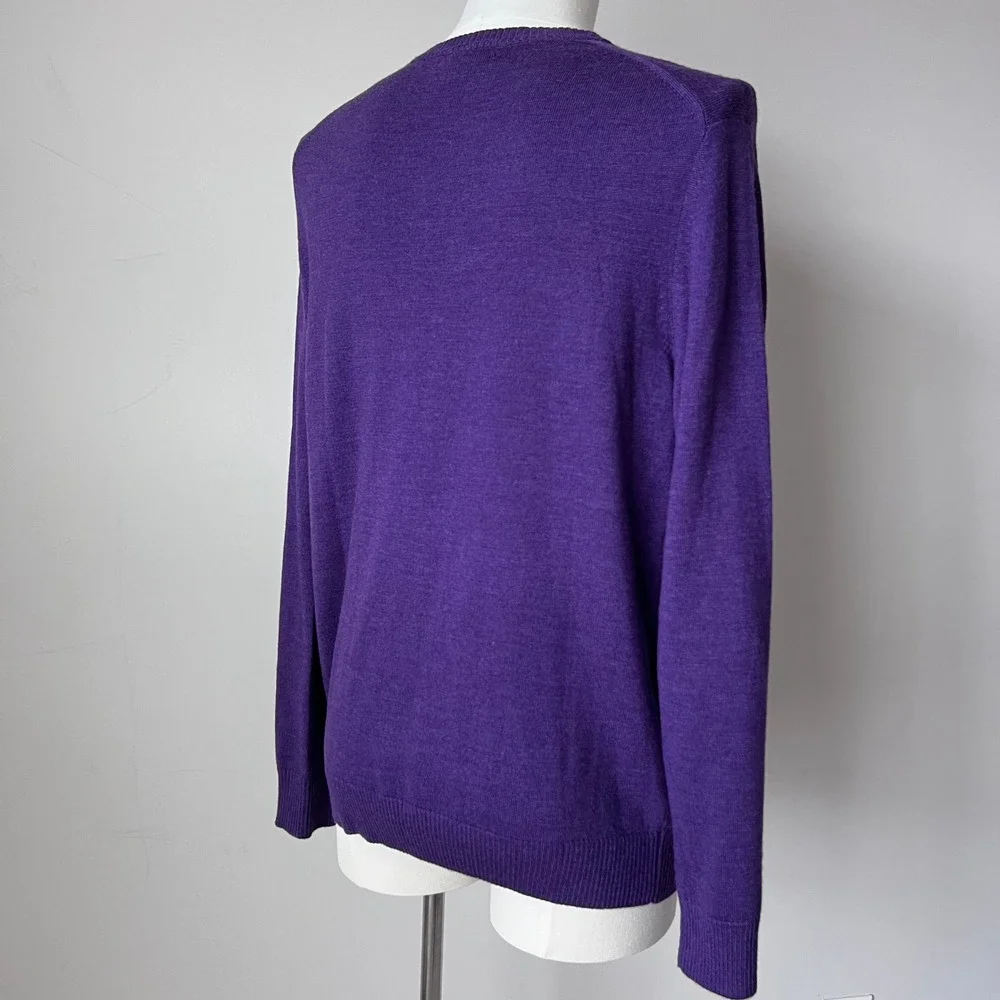 Banana Republic Men's Purple V-Neck 100% Merino‎ Wool Sweater Old Money Size L